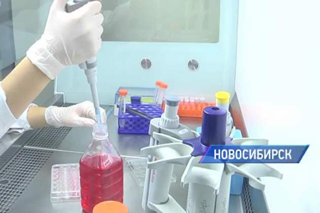 Новосибирские ученые создали искусственную кожу, чтобы сохранить жизнь звериным Новосибирские ученые создали искусственную кожу, чтобы сохранить жизнь звериным