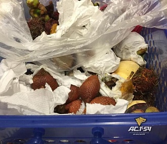 Неизвестные обгрызли фрукты в багаже летевших из Таиланда туристов