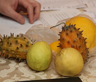 5 кг в одни руки: в России ограничили ввоз фруктов из-за границы