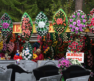 Приложение «Ритуал» с картой кладбищ разработали в Новосибирске
