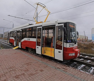 От «Золотой нивы» к новому автовокзалу будет ходить двойной трамвай