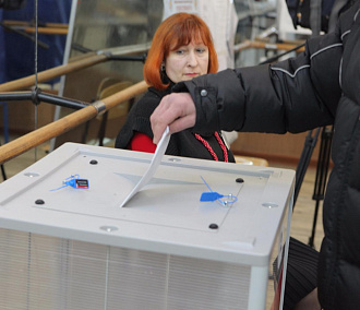 Выборы-2018: как сменить избирательный участок через Госуслуги