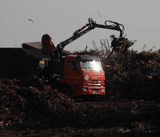 Штрафы до 250 тысяч грозят СНТ за стихийные мусорные свалки