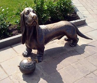 Бронзовую собаку-копилку поставят в центре Новосибирска