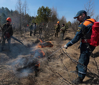 Шесть видеокамер следят за пожарами в лесах Новосибирска
