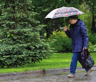 Дожди будут идти в Новосибирске ещё три дня — синоптики