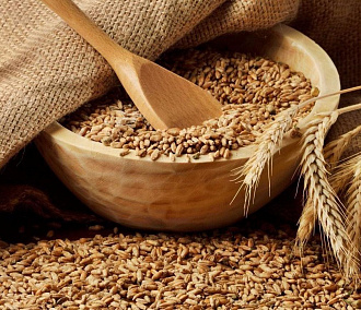 Новосибирские аграрии отправили в Китай две тысячи тонн пшеницы