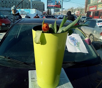 «Будь мужиком, купи тюльпан!»: цветочный бум начался в Новосибирске