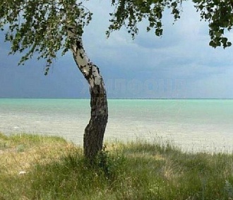 Базу отдыха на озере Чаны продают за 8 млн рублей