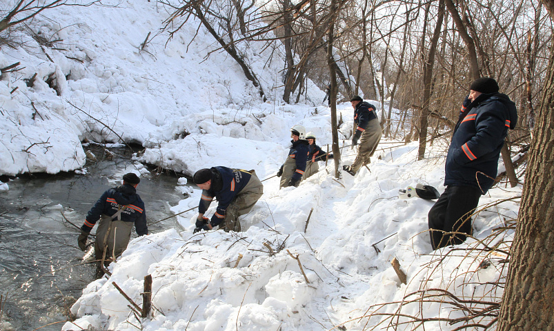 227 опасных мест насчитали перед паводком в Новосибирске