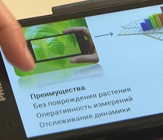 Измерить лист в мобильном приложении предлагают новосибирские ученые
