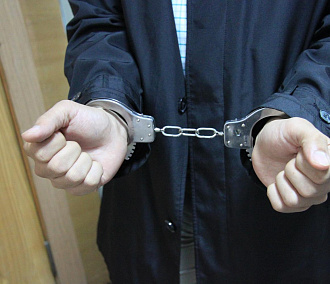Троих новосибирцев арестовали после попытки устроить теракт