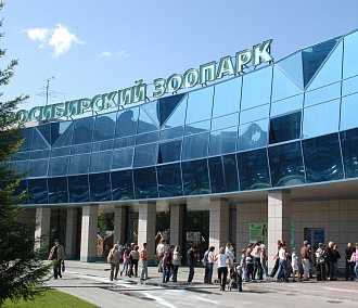 «Сухой» фонтан запустили в Новосибирском зоопарке