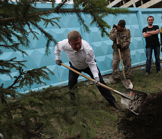 Коротко: мэр Локоть об акции «Вырасти своё дерево»
