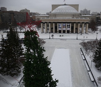 22-метровую ёлку в центре Новосибирска украсили красной звездой