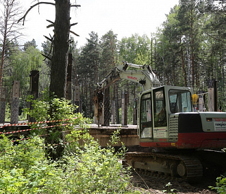 Мэр Локоть запретил строительство коттеджей в лесах Новосибирска