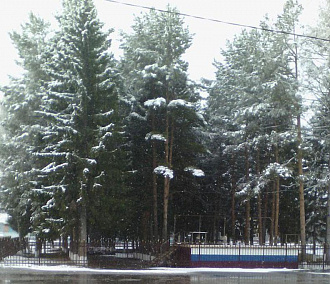 Снег выпал в середине мая в Новосибирской области