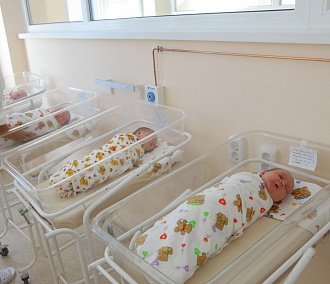 Четверня: трёх дочек и сына родила жительница Новосибирска