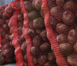 Работа в Новосибирске: картофельный агент и сборщик веток