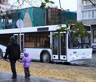 Мэрия Новосибирска планирует купить 19 автобусов и 24 троллейбуса