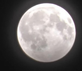 Новосибирец снял на видео Волчью луну 11 января