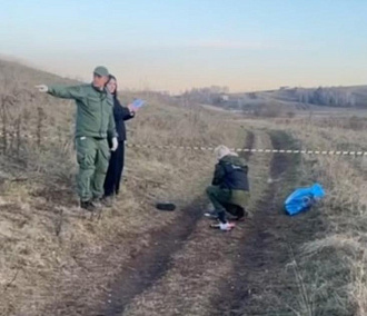 Мёртвого ребёнка с укусами нашли в сибирском поле: позиция зоозащитников