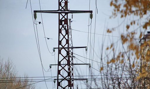 Частную пекарню нелегально подключили к электросетям в Новосибирске