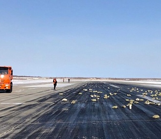 Золотой дождь устроил самолёт новосибирской авиакомпании в Якутске