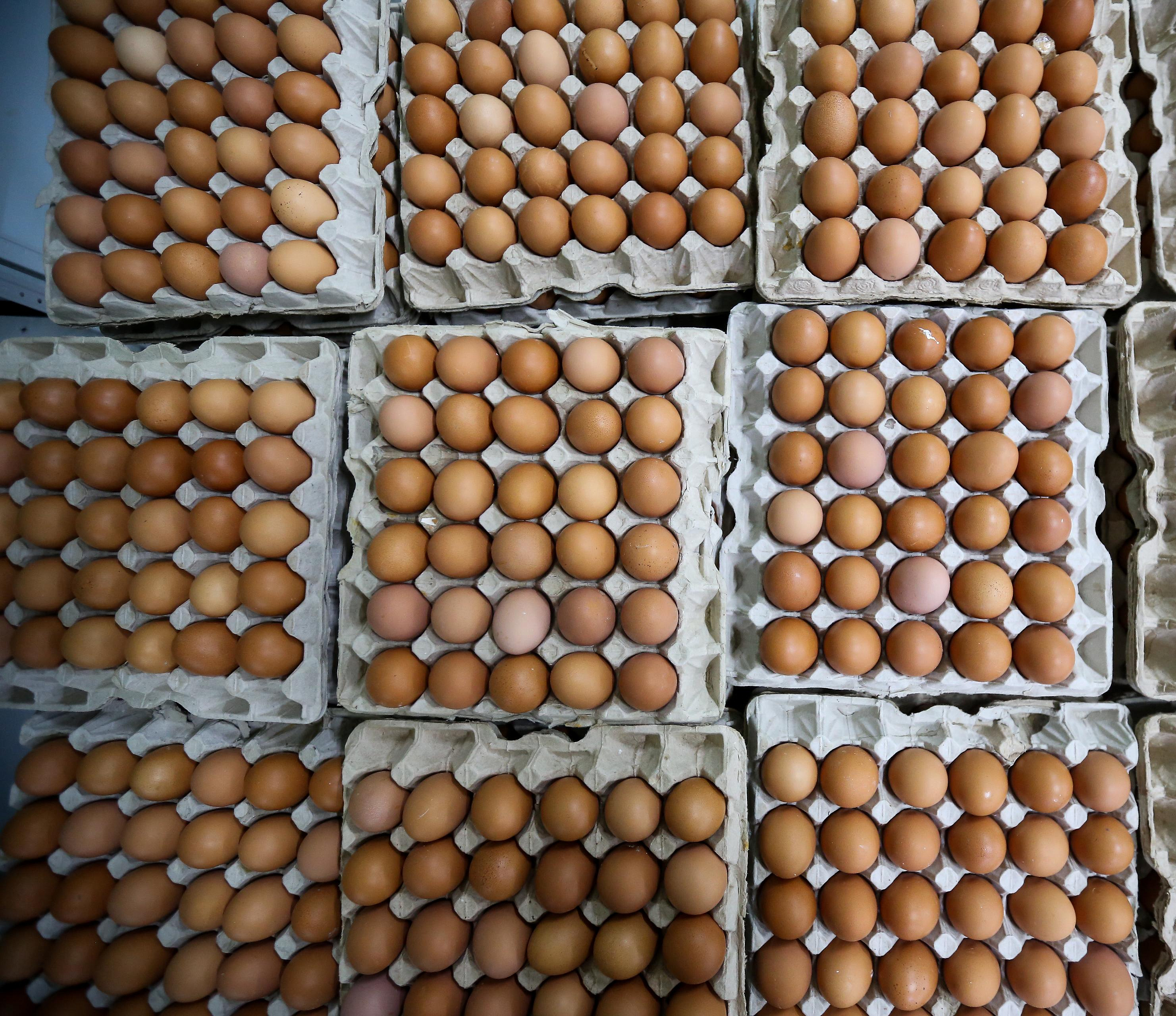 Шесть птицефабрик подписали соглашение о сдерживании цен на яйца