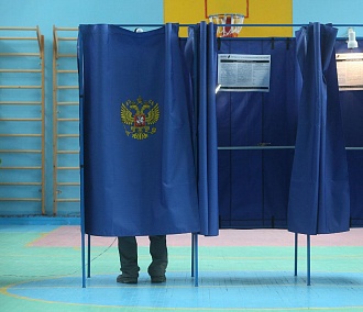 Как досрочно проголосовать на выборах мэра Новосибирска