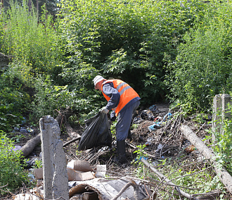 Лес в районе Горбольницы очищают от многолетней свалки