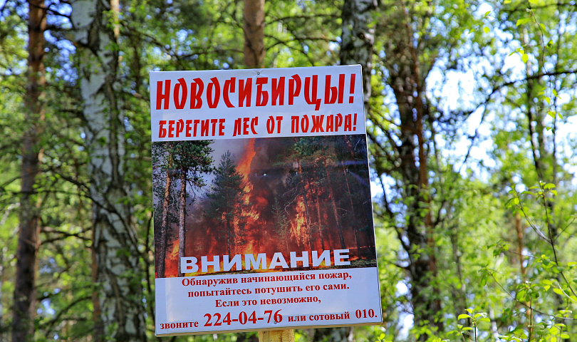 До 800 тысяч вырастут штрафы за костры и палы травы в Новосибирске