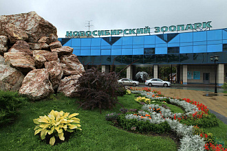 Новосибирский зоопарк открывает бесплатный вход для пенсионеров