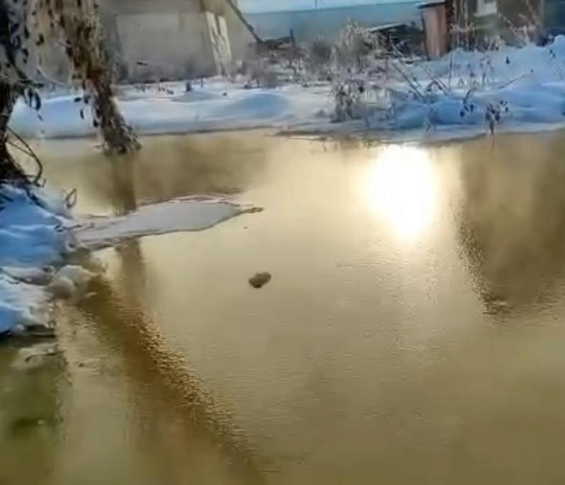 Причину загрязнения реки Нарниста в Дзержинском районе выяснит минприроды