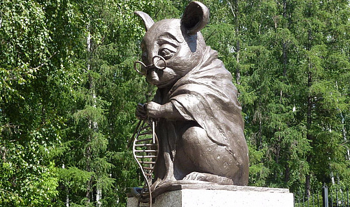 Медицинский центр на горького в ростове