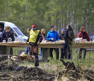 40 000 деревьев высадили волонтёры под Новосибирском за выходные 
