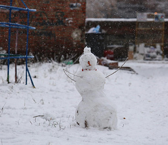 Выпавшего снега на выходных в Новосибирске хватит на снеговика