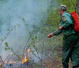 Новосибирцы жгут траву и устраивают пожары