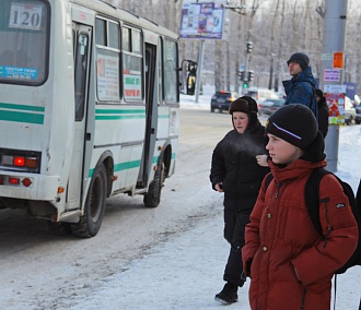 Школьникам разрешили бесплатно ездить по Новосибирску на каникулах