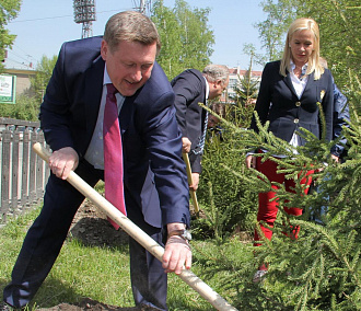 Как Новосибирску стать «Зелёным городом»