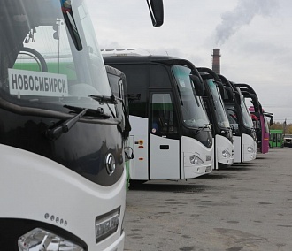 Сезон завершён — автобусы из Новосибирска на дачи больше не поедут