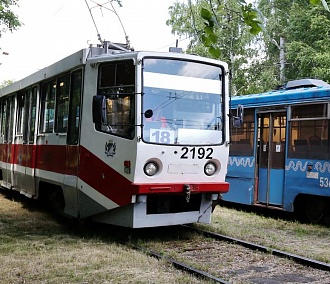 Подарок из столицы: как выглядят московские трамваи