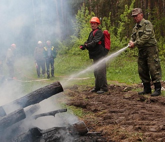 В мэрии Новосибирска рассказали, что делать при лесном пожаре