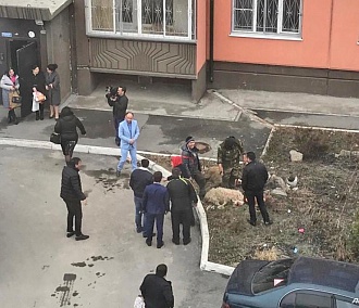 Баранов зарезали во дворе жилого дома в Новосибирске