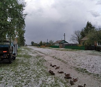 Град размером с куриное яйцо побил урожай в Новосибирской области