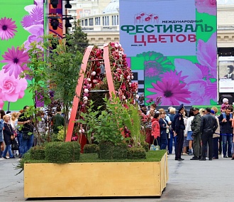 Инсталляции с Фестиваля цветов перевезли на Михайловскую набережную
