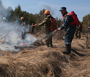 35 умных камер установили для отслеживания пожаров в новосибирских лесах
