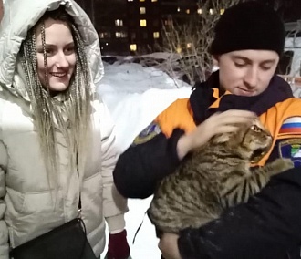 Спасатели вытащили замёрзшую кошку из трубы в Академгородке