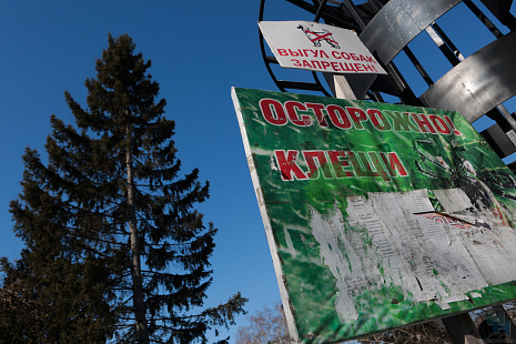 Страховой полис от клеща новосибирцы могут получить в ближайшей муниципальной аптеке