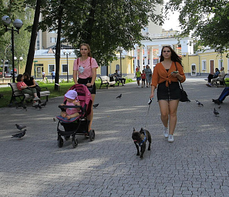 Десять минут до парка: Новосибирск попал в рейтинг самых зелёных городов